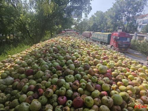 腐烂水果回收爆料视频,触目惊心的环保痛点  第2张